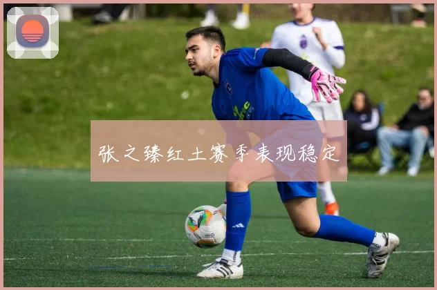 张之臻红土赛季表现稳定