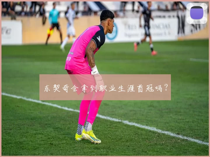 东契奇会拿到职业生涯首冠吗？