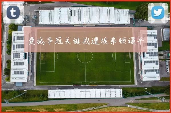 曼城争冠关键战遭埃弗顿逼平