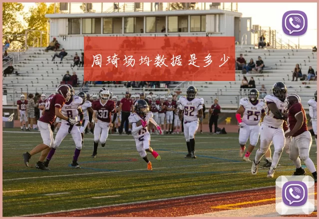 周琦场均数据是多少